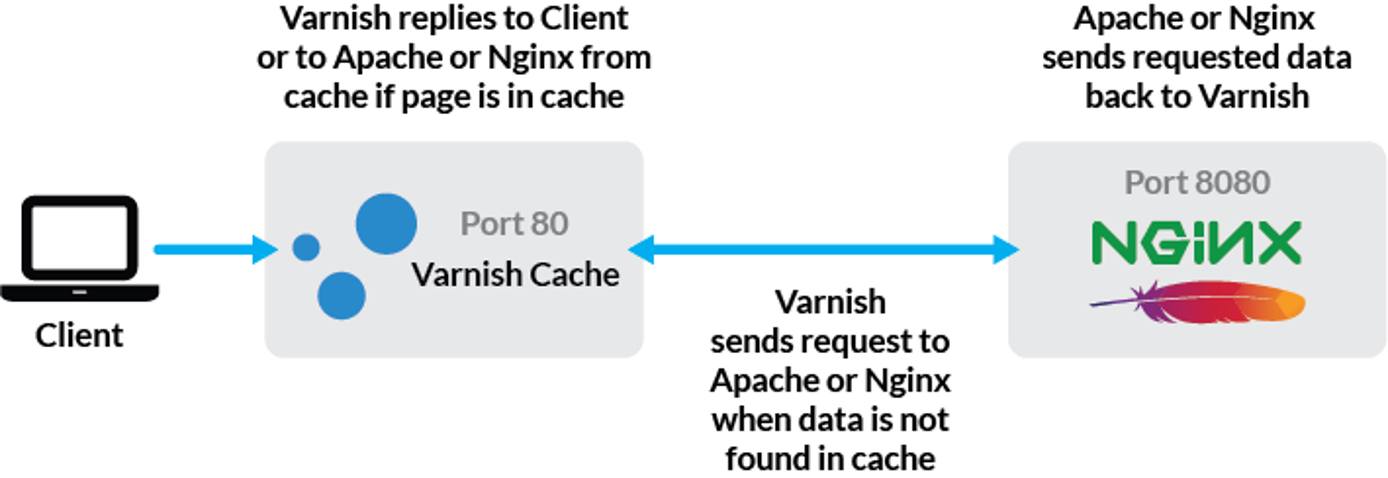 Where Varnish Exists in the Web Server Process Where Varnish Exists in the Web Server Process
